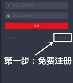 全網v p影視自助建站系統詳解 一站式打造專業影視網站